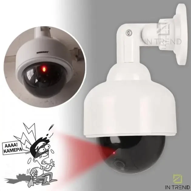 6164931857_mulyazh-kamery-videonablyudeniya Муляж камеры видеонаблюдения DUMMY S2000 / Купольная Камера обманка - Зображення 1
