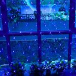 Гирлянда светодиодная Сетка 200 LED 3х2м — фото 5
