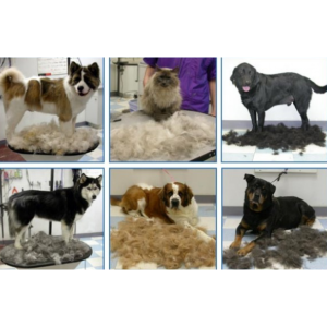Фурминатор c кнопкой для маленьких длинношерстных собак FURminator short Hair Small Dog 4.5 см — фото 2