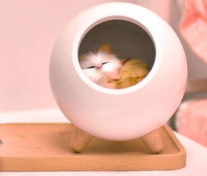Детский настольный ночник домика с регулировкой яркости “Котик”