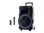 Колонка с микрофоном ZXX-7171 / Акустическая переносная колонка 600Вт 12″ 35х30х54см