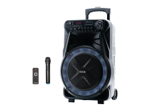 Колонка с микрофоном ZXX-7171 / Акустическая переносная колонка 600Вт 12″ 35х30х54см