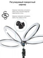 Кольцевая LED лампа YQ-320B (30см) с держателем телефона для бьюти селфи съемки Ring Light — фото 4